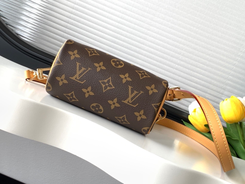 LV Speedy Bags